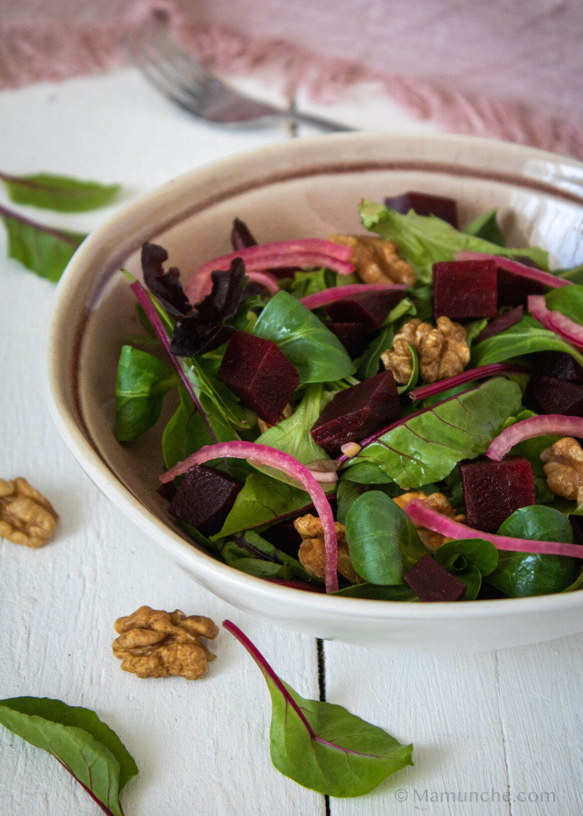 Mamunche–Salad-Beetroot-Walnut-close Rote Beete Salat
